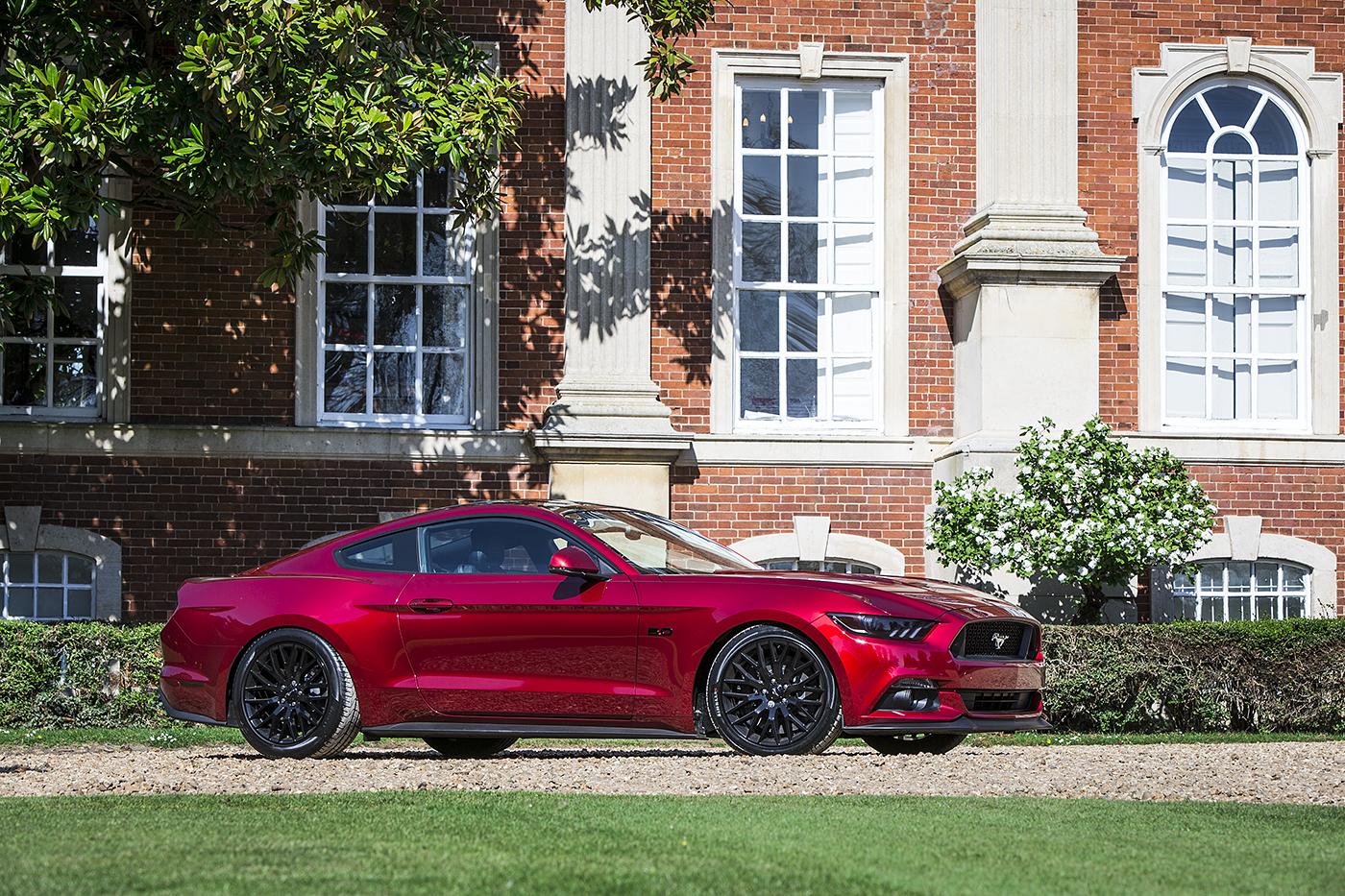 V8RYH31edit.jpg