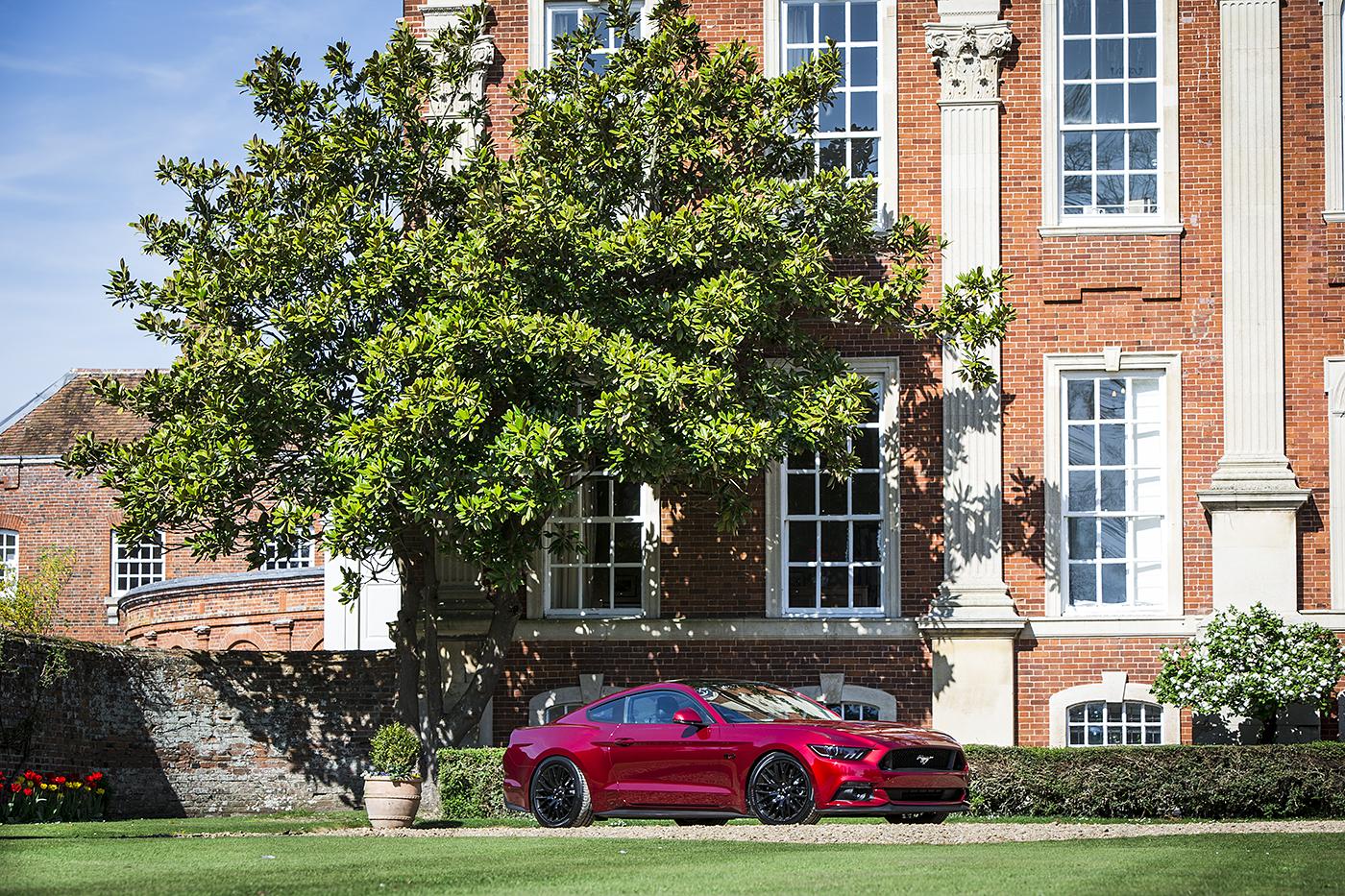 V8RYH38edit.jpg