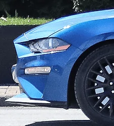 stang.webp