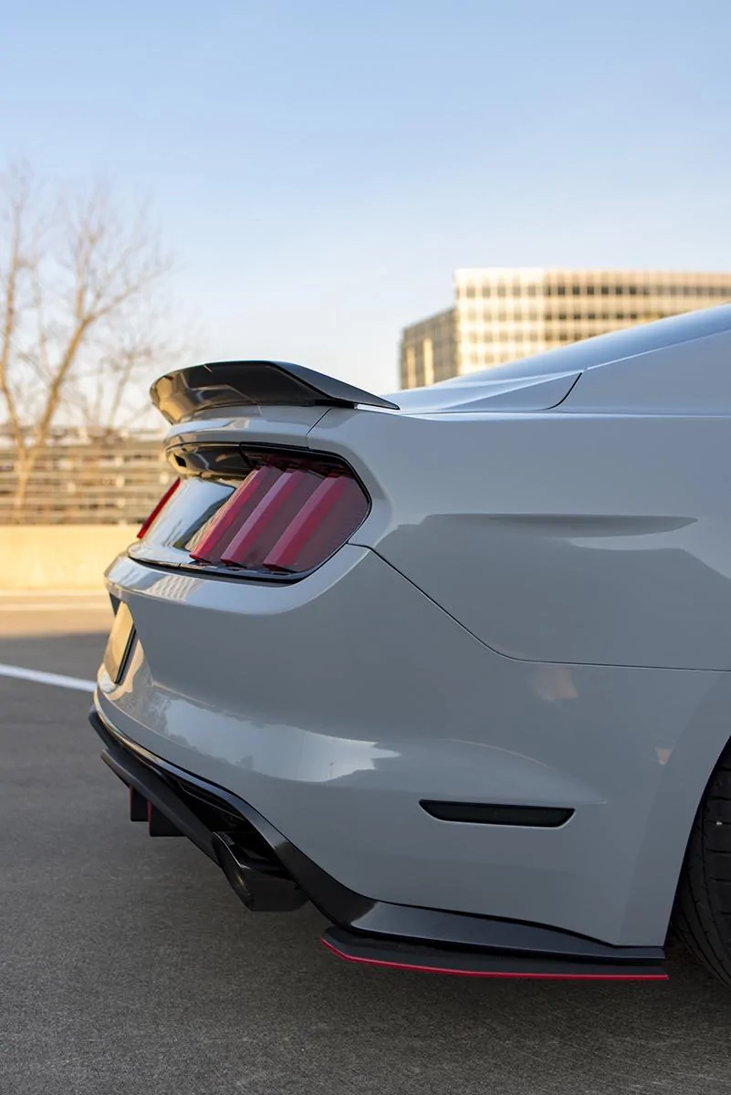 DSC_3949-2.webp