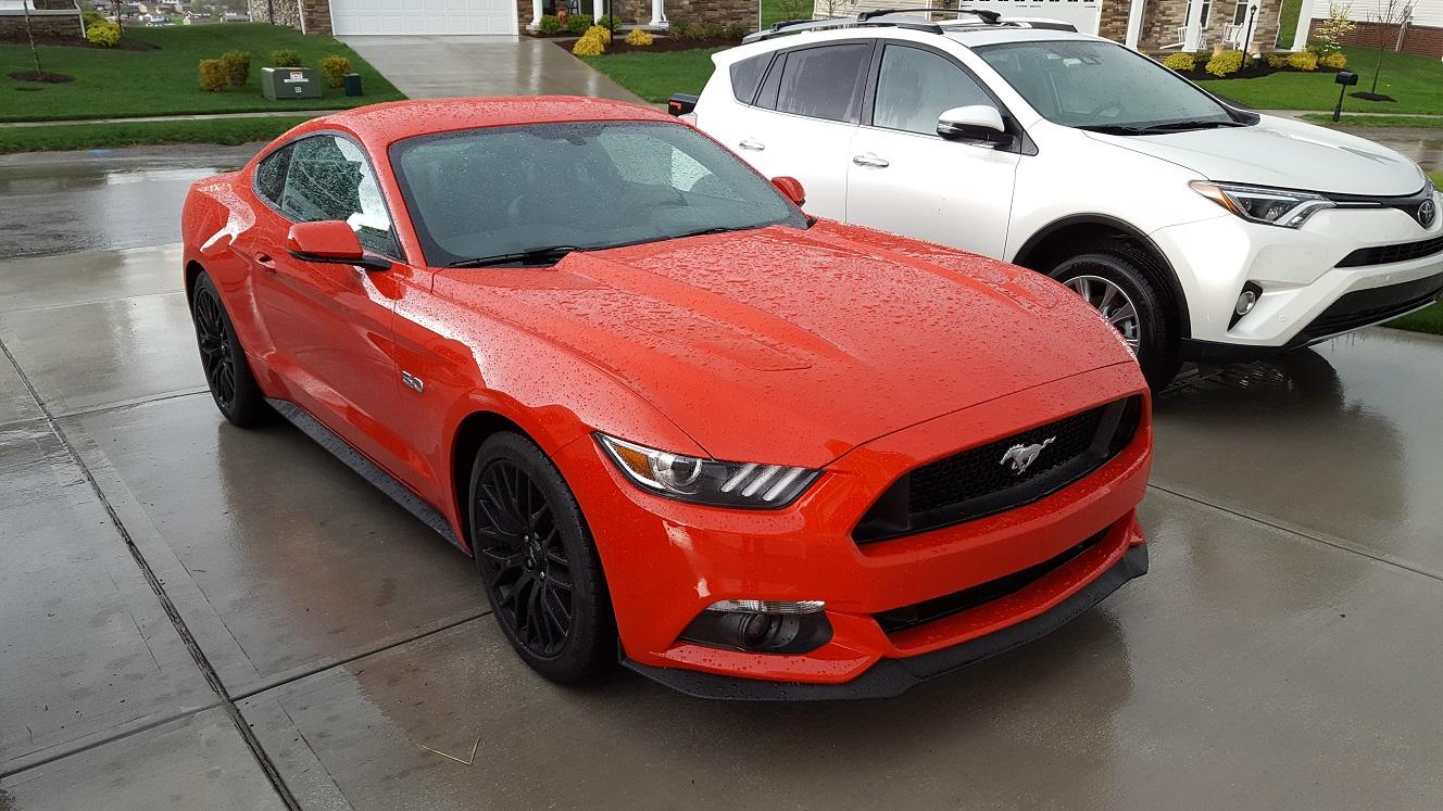 Mustang.jpg