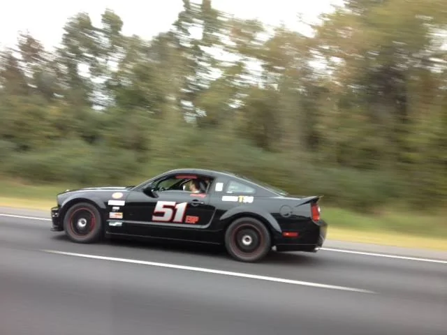 Mustang 1.webp
