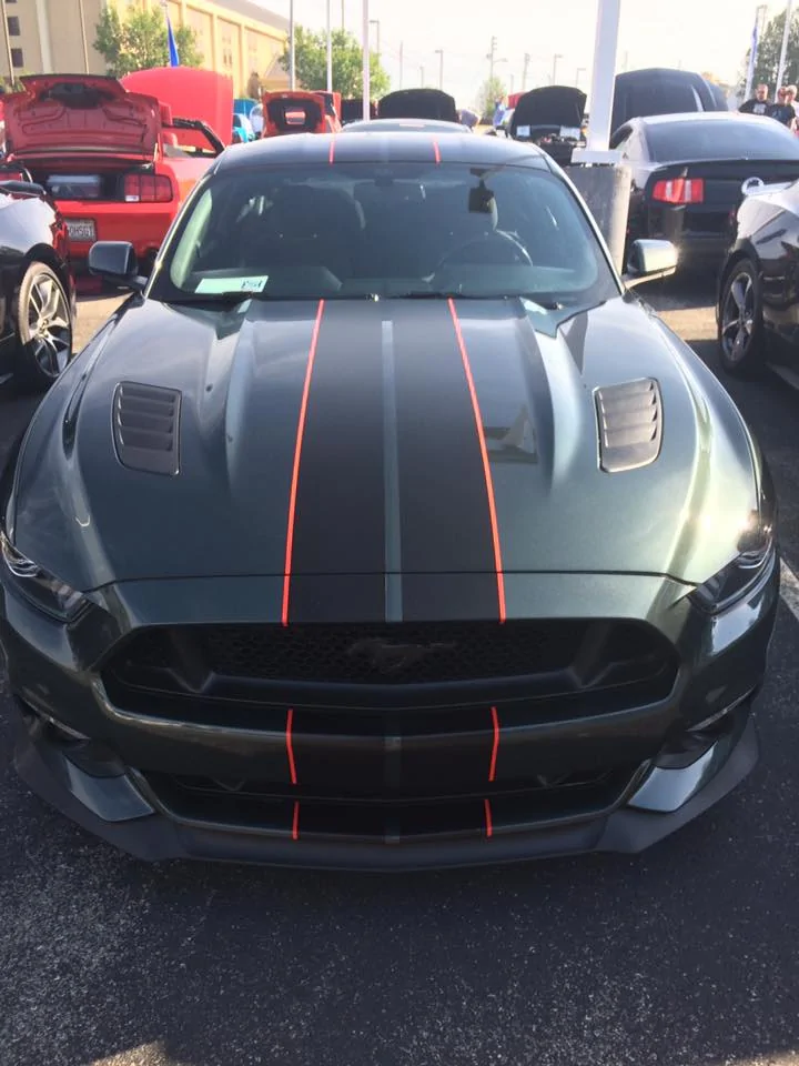 Mustang 3.webp