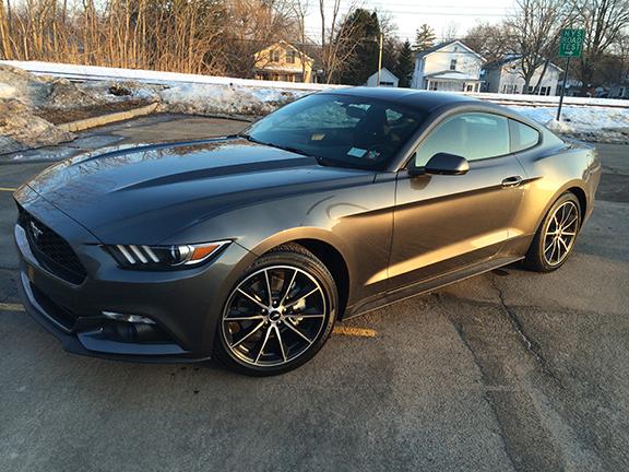 Stang.jpg