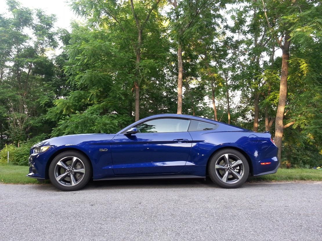 Stang side view 2.jpg