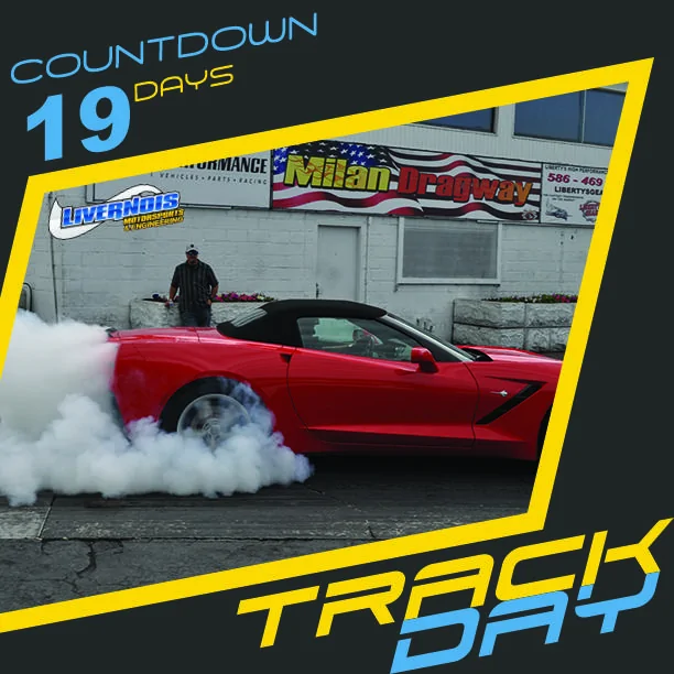 19 Days (1).webp
