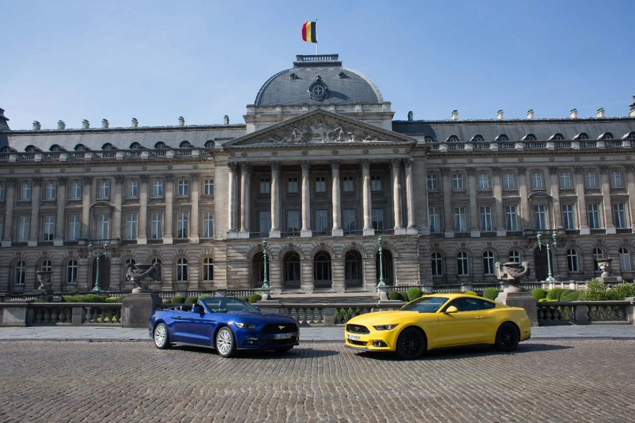 Mustang-Belgium.webp