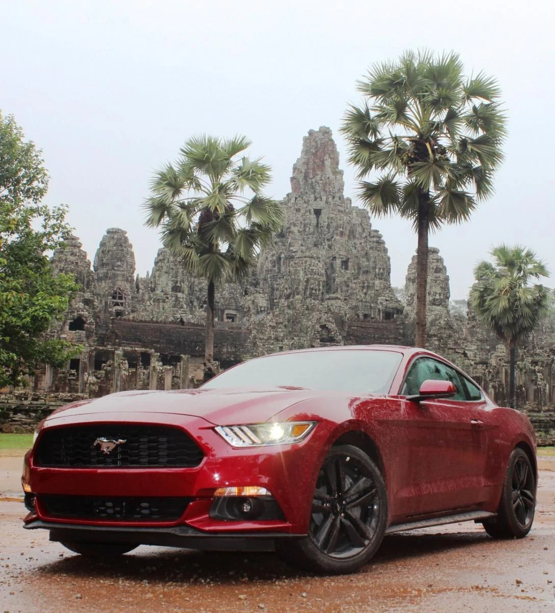 Mustang-Cambodia.webp