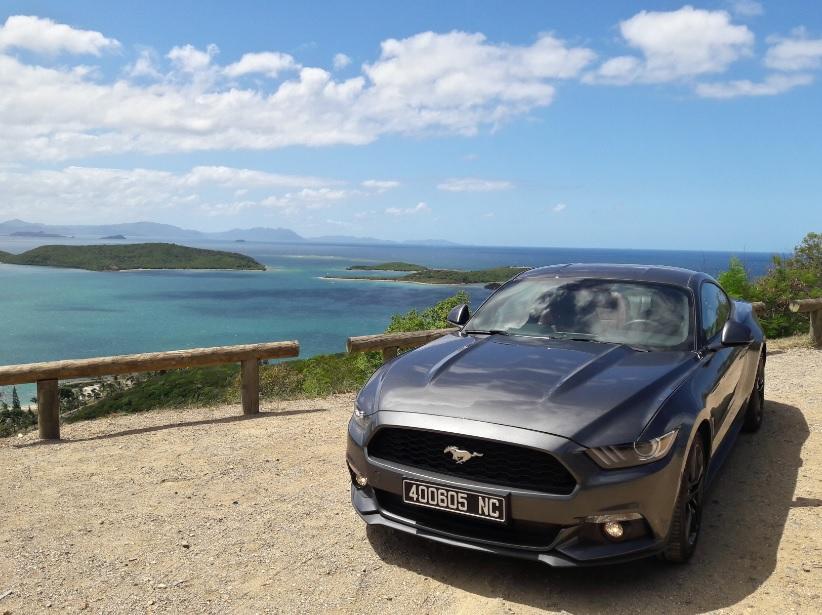 Mustang-New-Caledonia.jpg