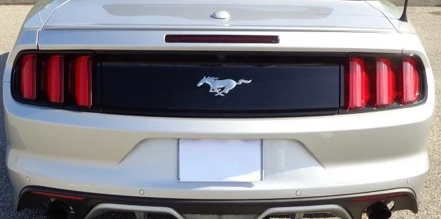 mustang-back2.webp