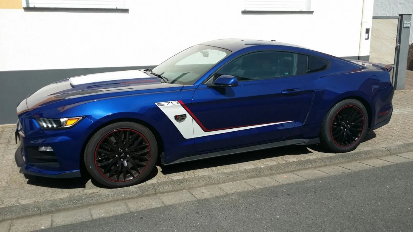 My Roush.webp