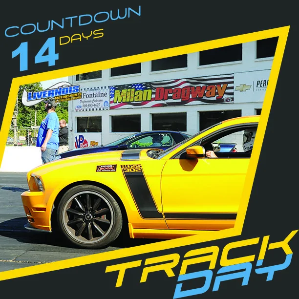 14 Days.webp