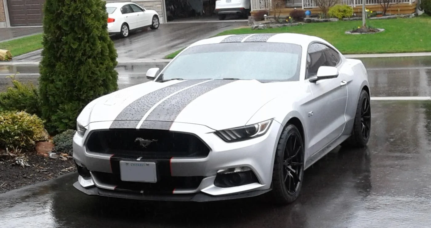 Stang new wheels.webp