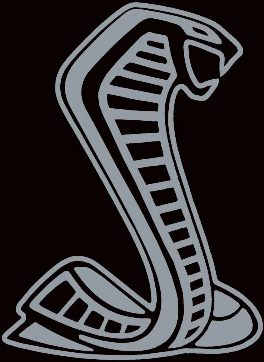 Silver-Black.webp