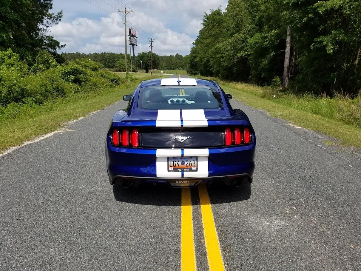 2015-rear-angle-down.jpg