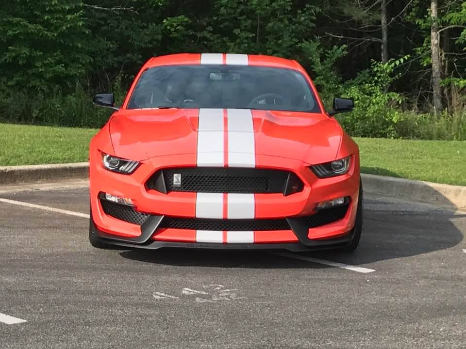 18157943_10211085052734514_7059796255427612965_n.jpg