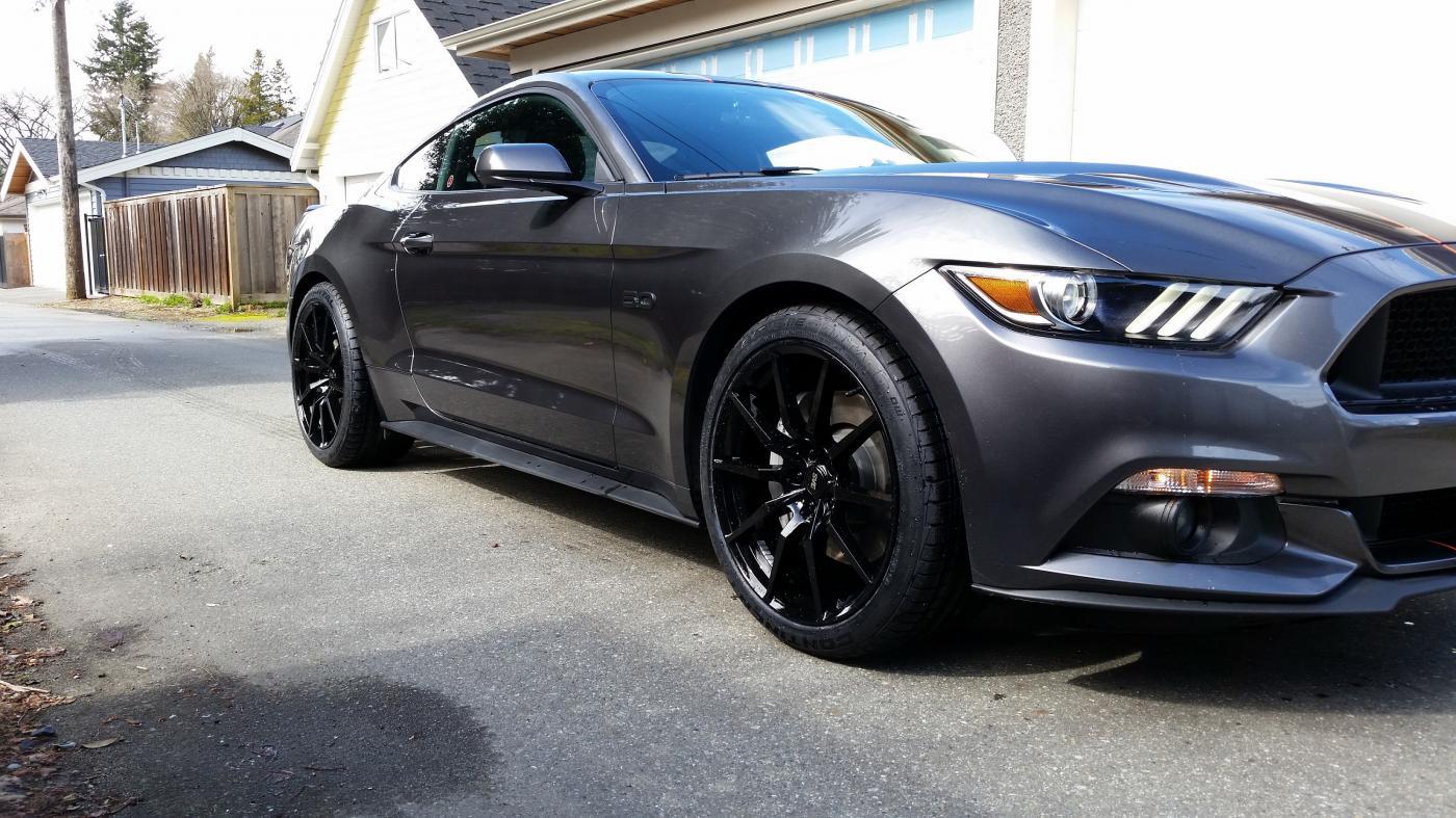 New Wheels 3.0.jpg