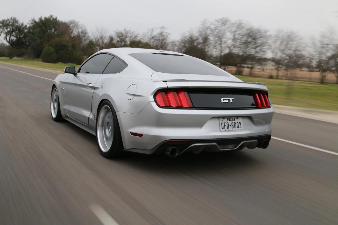 resized1.webp