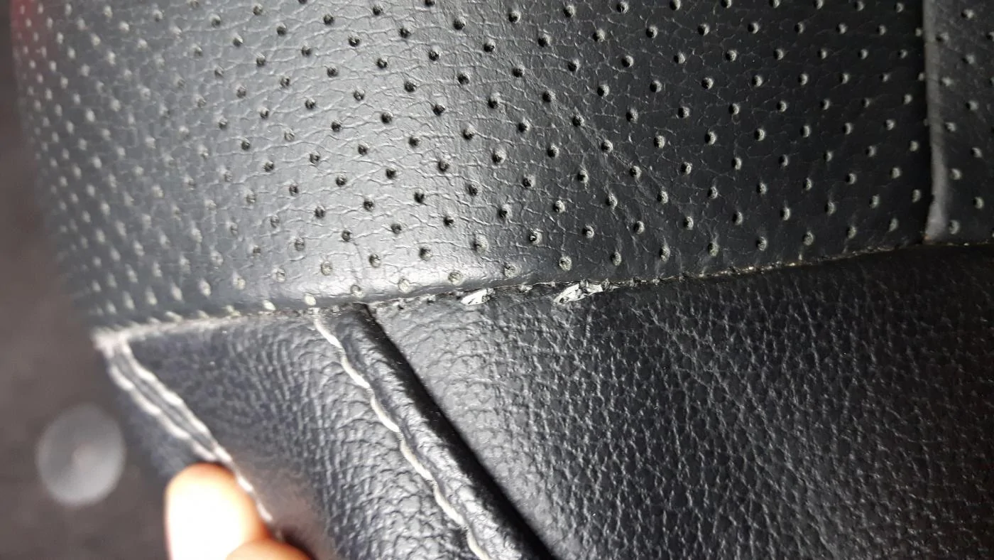 dammit, my seat!.webp