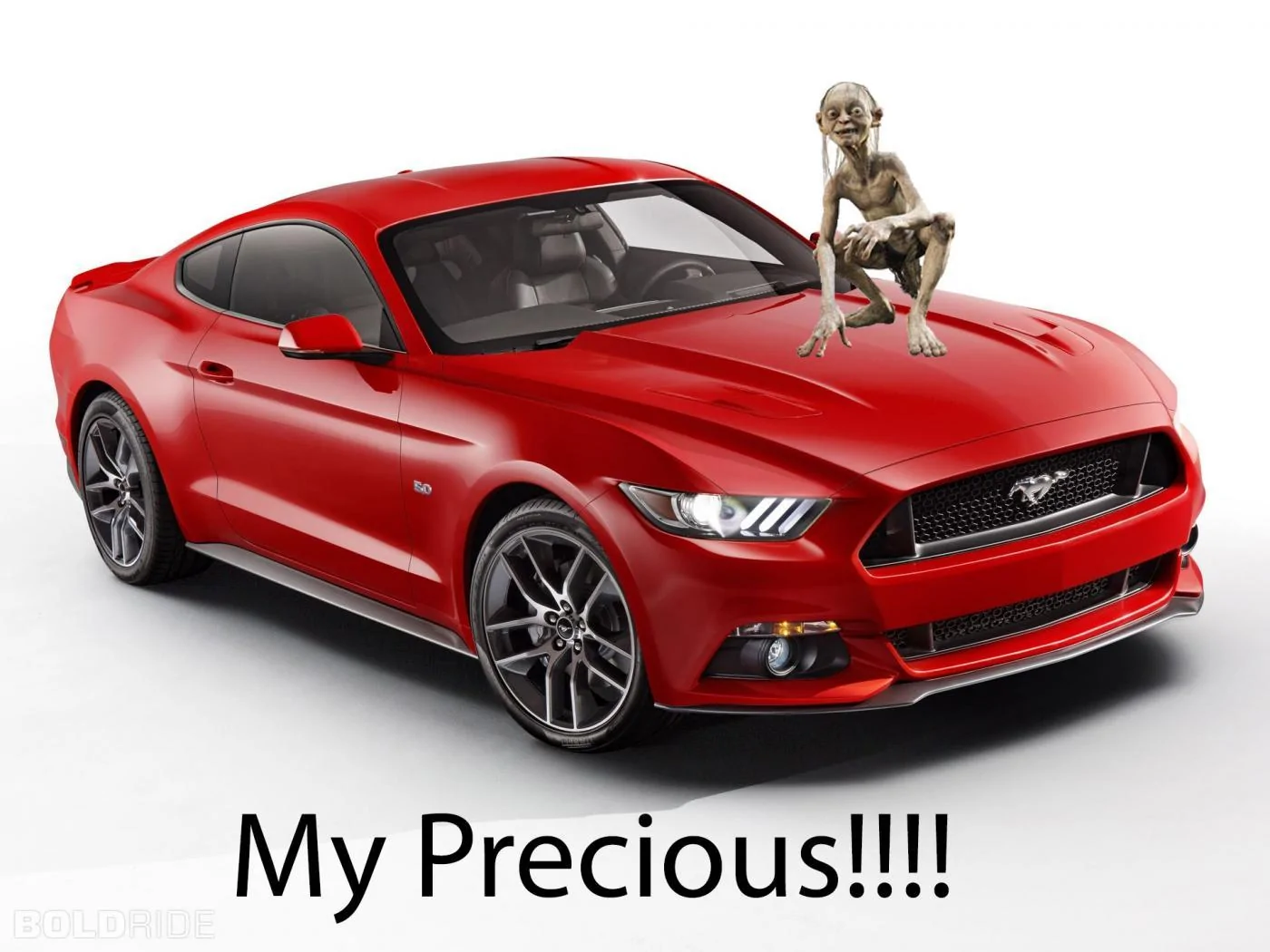My Precious Mustang!.webp