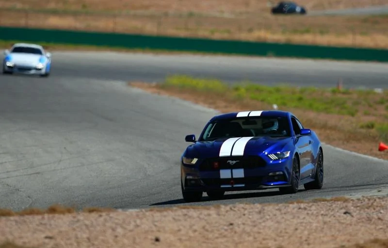 Willow Springs 6.webp
