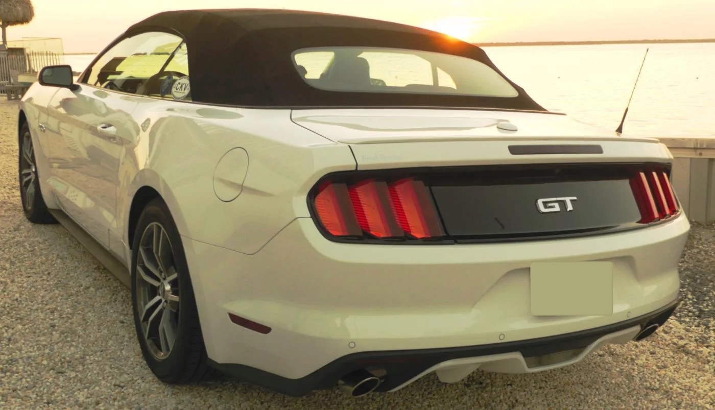 Mustang at Beach 2 no plate.webp