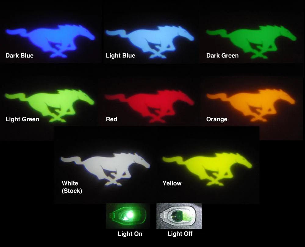 Pony-Lights.webp