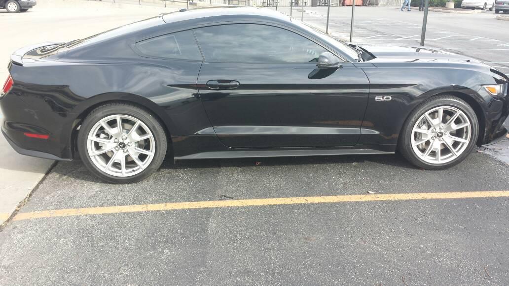 mustang.jpg
