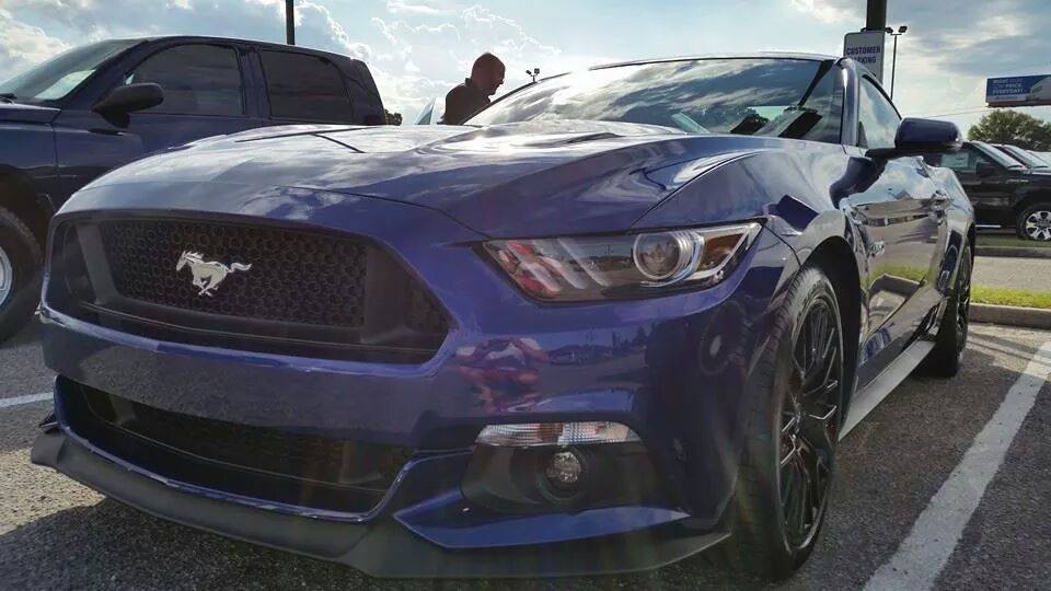MY Mustang.jpg