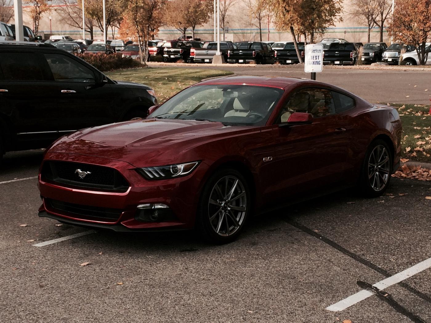 Mustang1.jpg