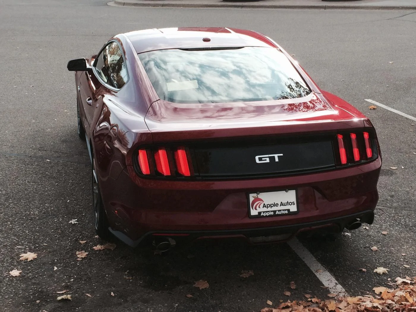 Mustang4.webp