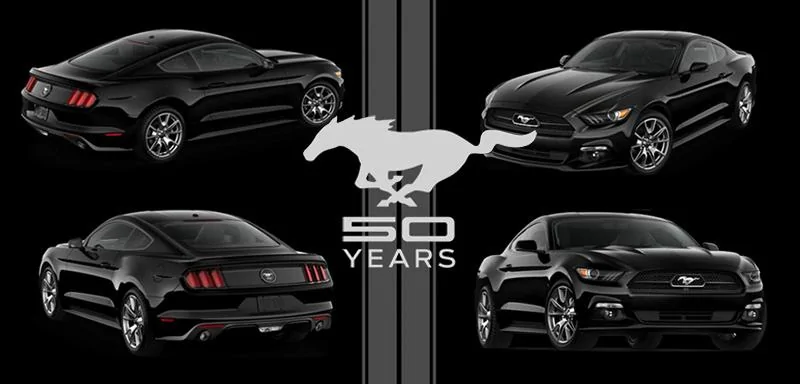 50_yEAR_BLACK.webp
