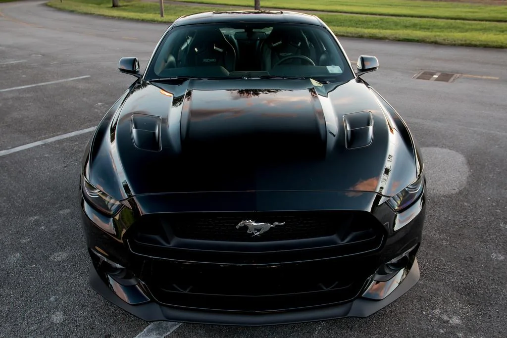 MustangSky.webp