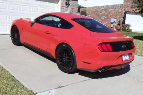 Mustang 1 002.webp