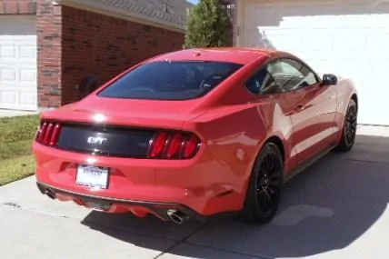 Mustang 1 003.webp
