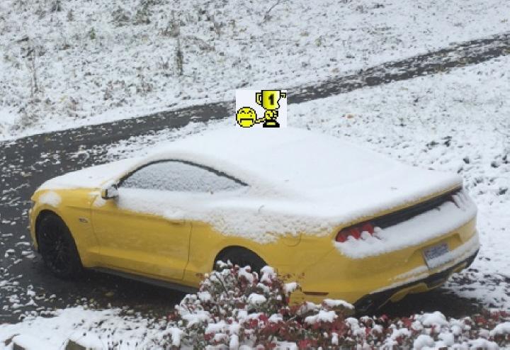 1st snow.jpg