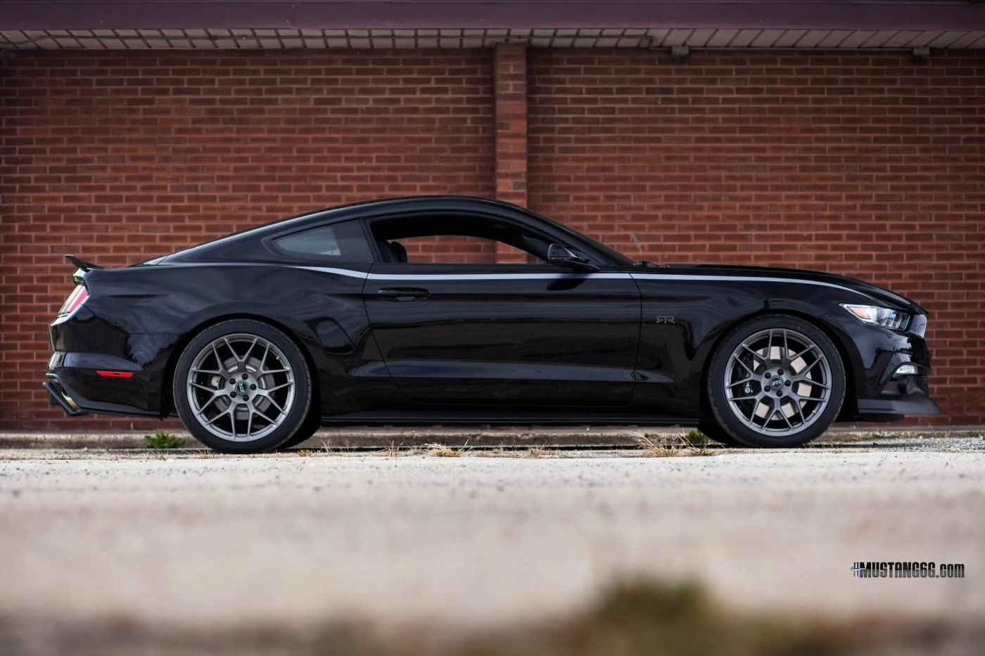 2015 Mustang RTR-4.webp