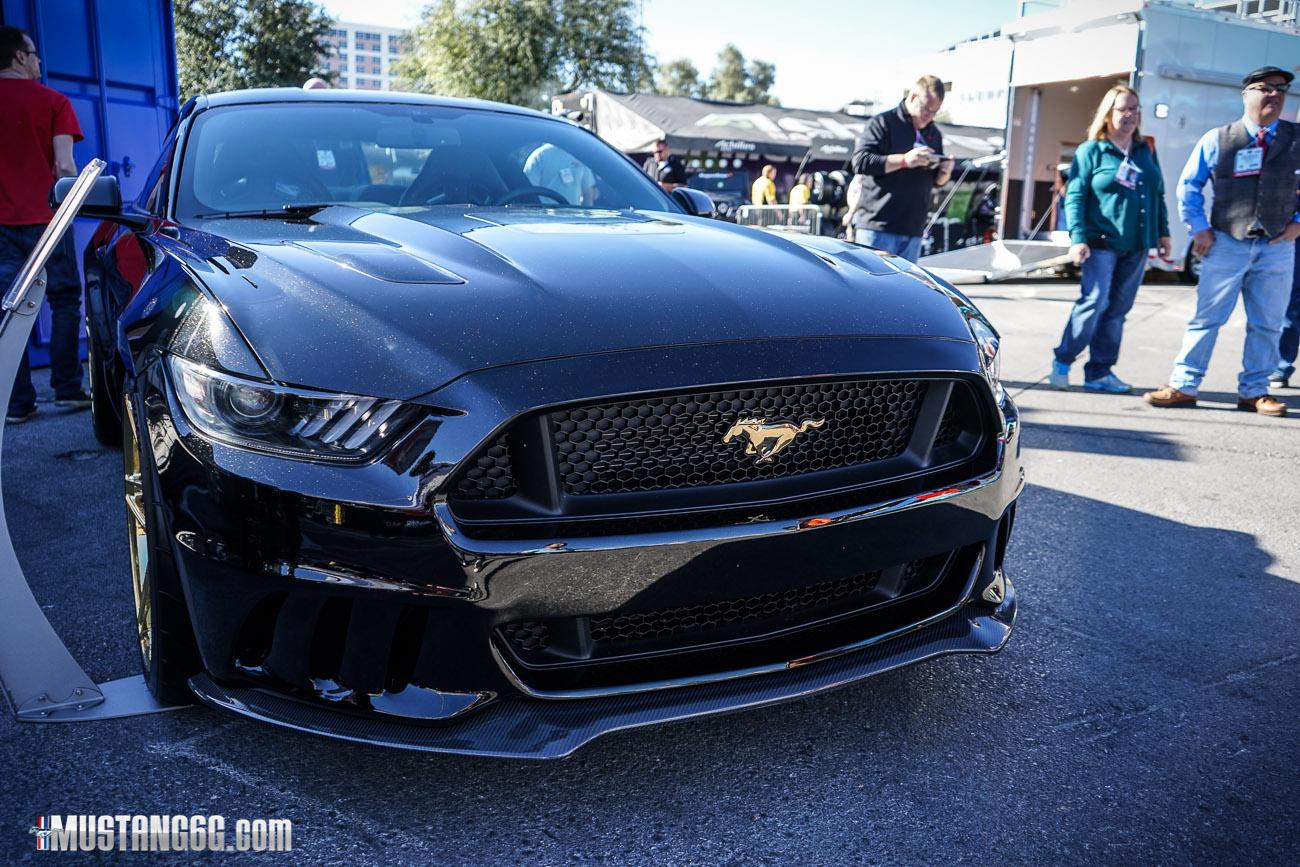 DSC04739.jpg