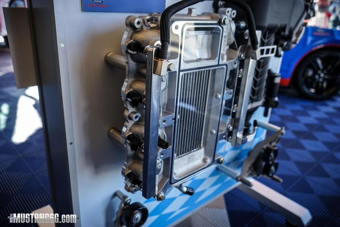 DSC04894.webp
