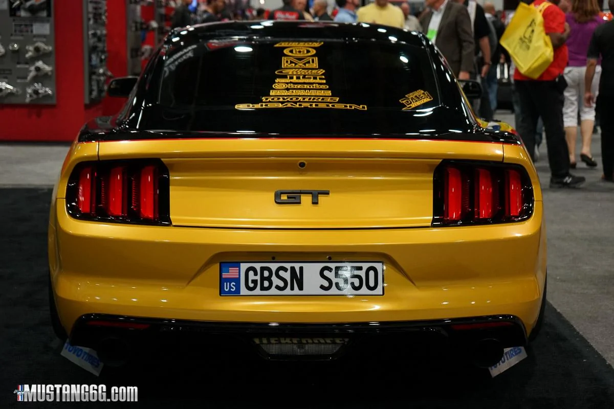 DSC05154.webp