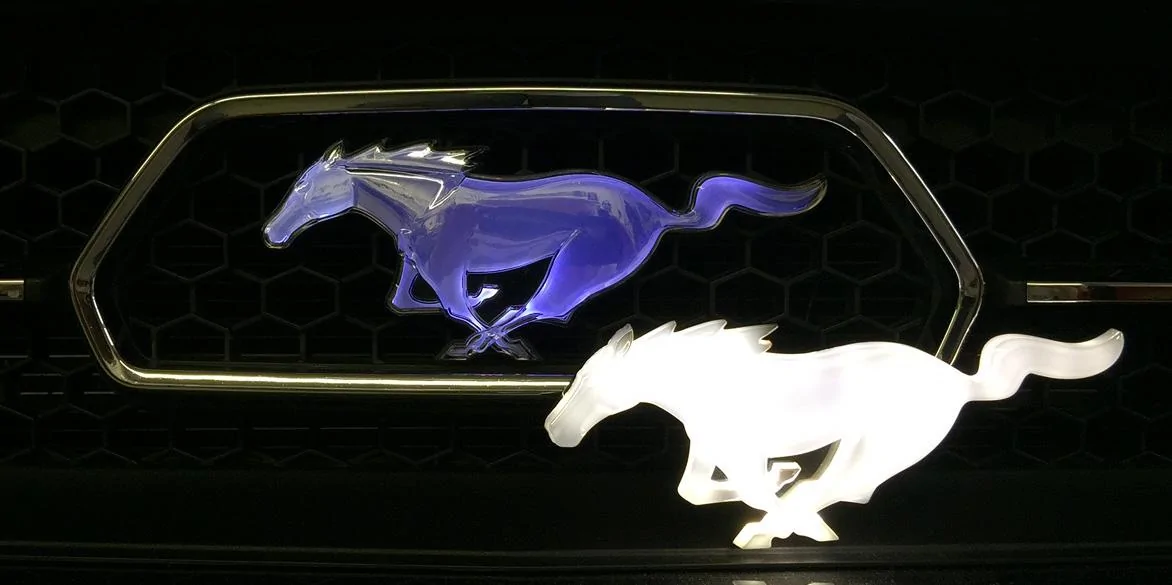 pony.webp