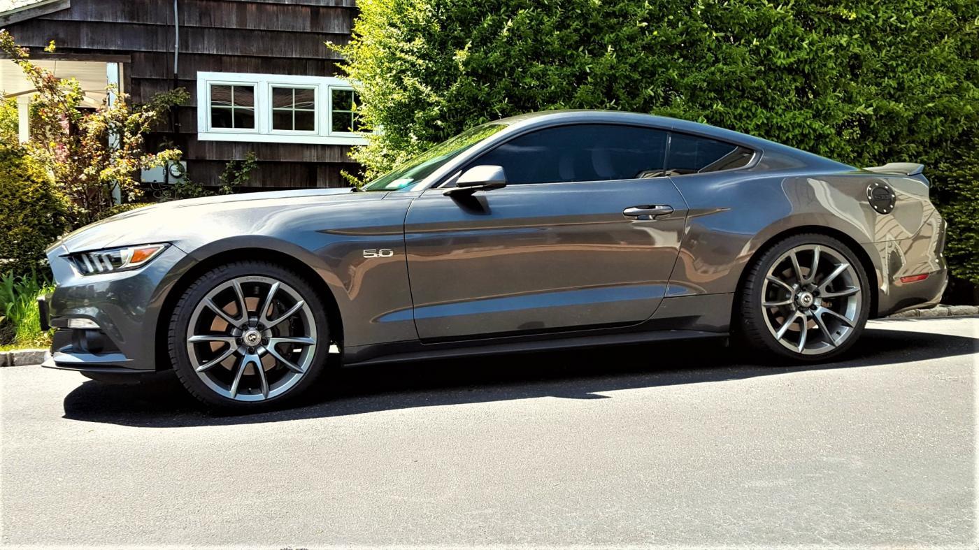 Mustang.jpg