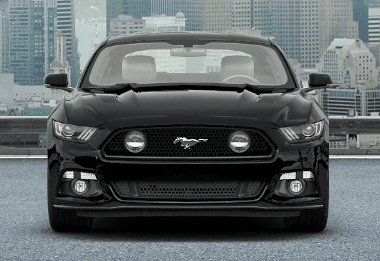 customgrill1.webp