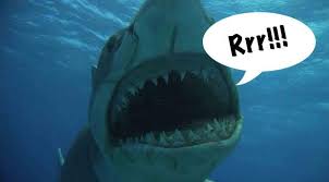 jaws.jpeg