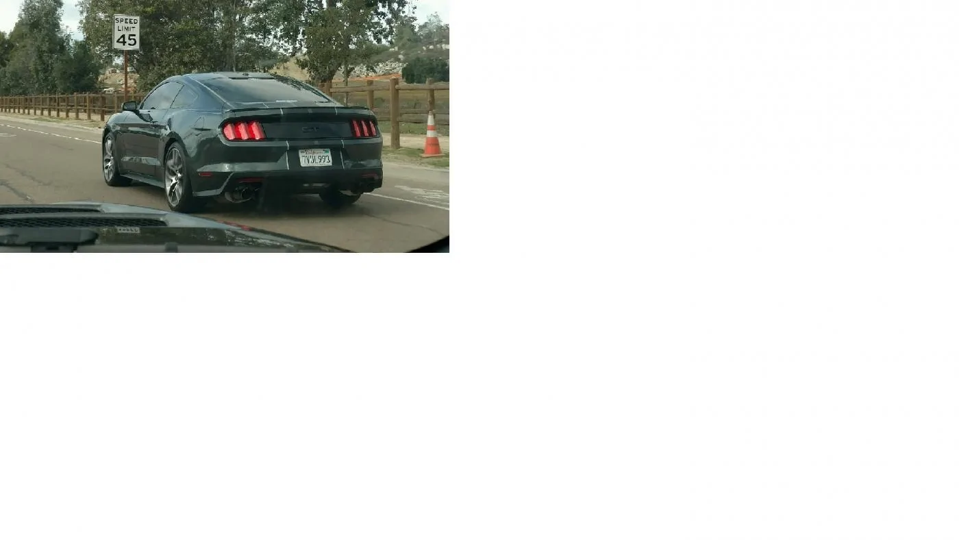 2015 T. Ernst Mustang .1.webp
