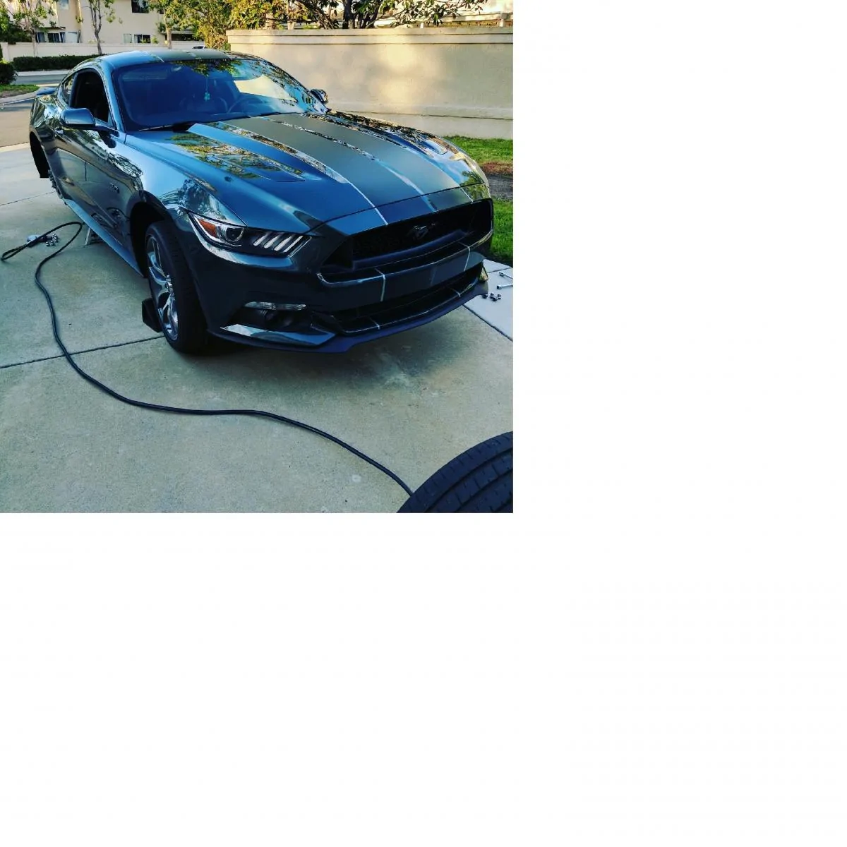2015 T. Ernst Mustang .2.webp