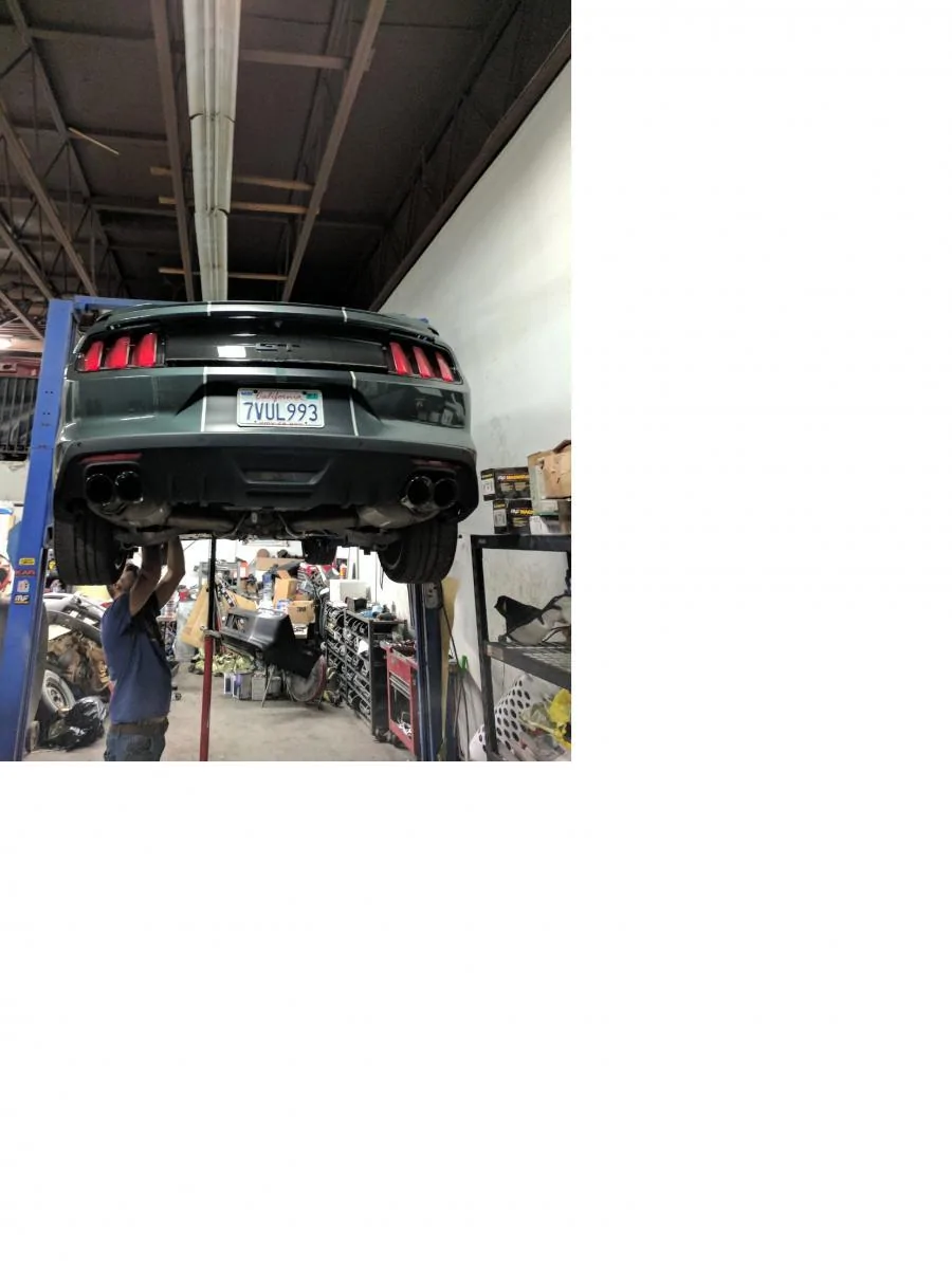 2015 T. Ernst Mustang .4.webp