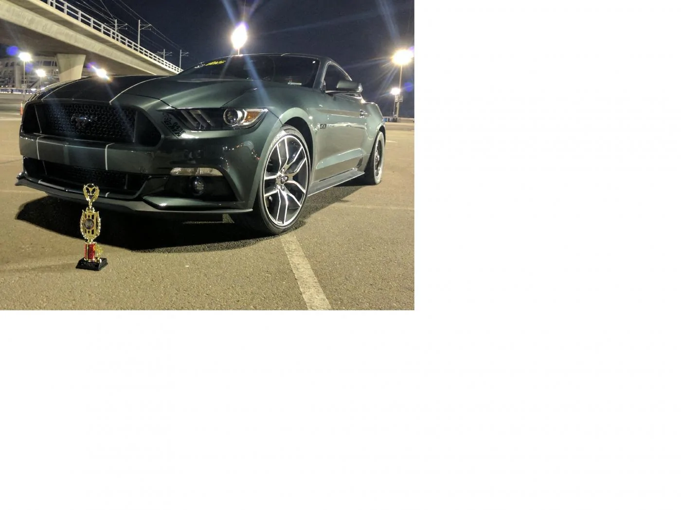 2015 T. Ernst Mustang .3.webp