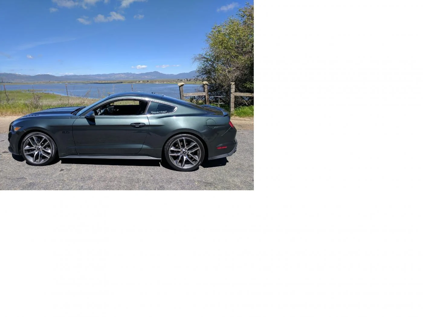 2015 T. Ernst Mustang .5.webp