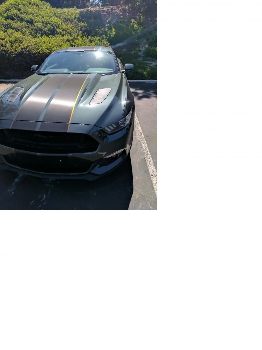 2015 T. Ernst Mustang .6.webp